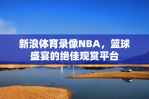 新浪体育录像NBA，篮球盛宴的绝佳观赏平台