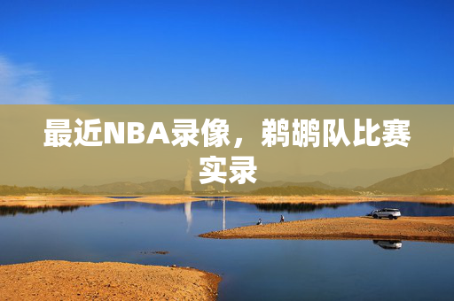 最近NBA录像，鹈鹕队比赛实录