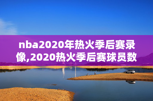 nba2020年热火季后赛录像,2020热火季后赛球员数据