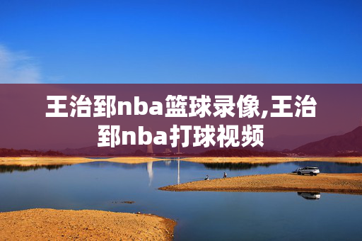 王治郅nba篮球录像,王治郅nba打球视频