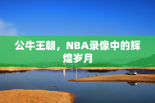 公牛王朝，NBA录像中的辉煌岁月