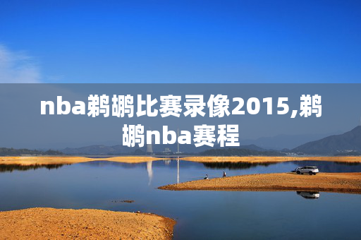 nba鹈鹕比赛录像2015,鹈鹕nba赛程