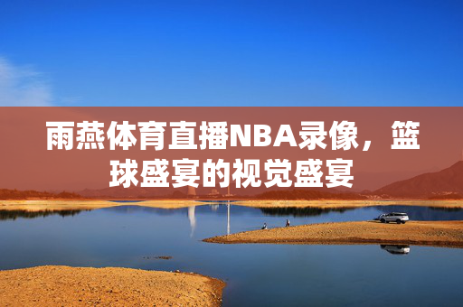雨燕体育直播NBA录像，篮球盛宴的视觉盛宴