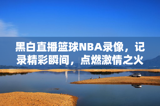 黑白直播篮球NBA录像,记录精彩瞬间,点燃激情之火