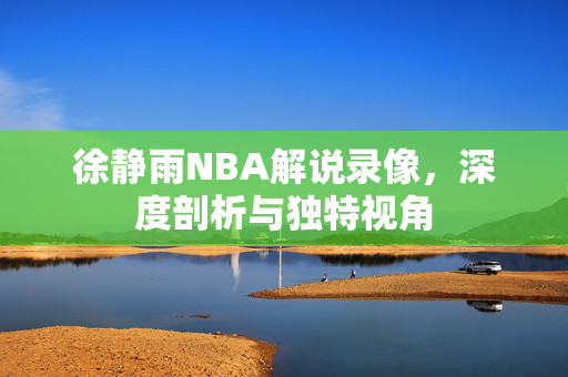 徐静雨NBA解说录像，深度剖析与独特视角