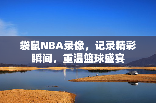 袋鼠NBA录像，记录精彩瞬间，重温篮球盛宴