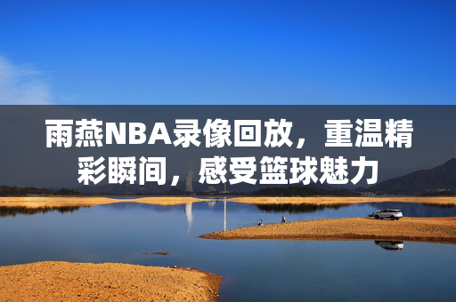 雨燕NBA录像回放，重温精彩瞬间，感受篮球魅力