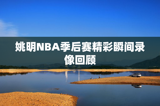 姚明NBA季后赛精彩瞬间录像回顾