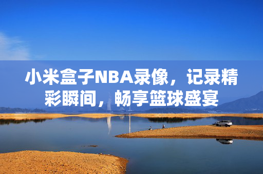 小米盒子NBA录像，记录精彩瞬间，畅享篮球盛宴
