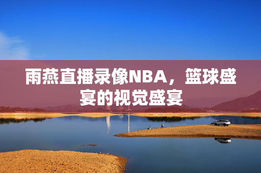 雨燕直播录像NBA，篮球盛宴的视觉盛宴