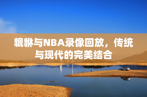 貔貅与NBA录像回放，传统与现代的完美结合