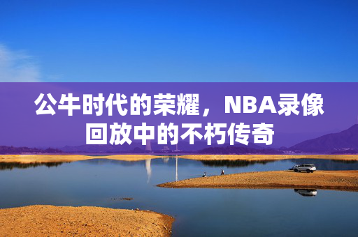 公牛时代的荣耀，NBA录像回放中的不朽传奇