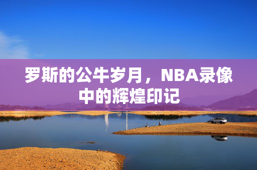 罗斯的公牛岁月，NBA录像中的辉煌印记
