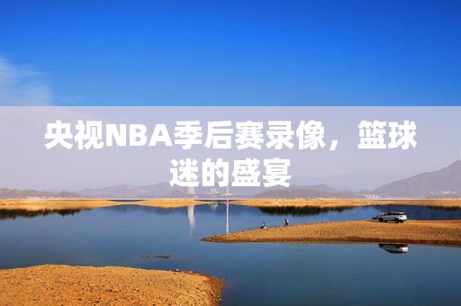 央视NBA季后赛录像，篮球迷的盛宴