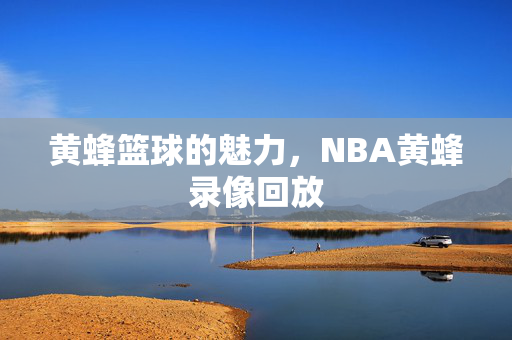 黄蜂篮球的魅力，NBA黄蜂录像回放