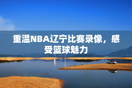 重温NBA辽宁比赛录像，感受篮球魅力