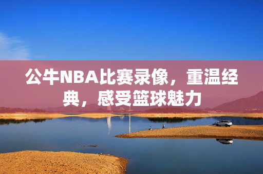 公牛NBA比赛录像，重温经典，感受篮球魅力