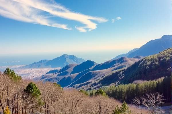 NBA赛事在线观看，手机观看录像的便捷方式
