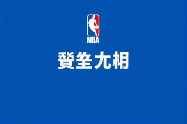 NBA精彩瞬间，回顾2008年的录像