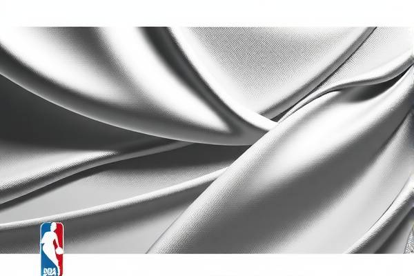 美国NBA回放录像的魅力与影响