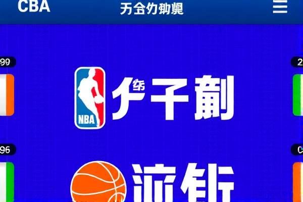 重燃篮球激情，回放NBA与CBA的录像