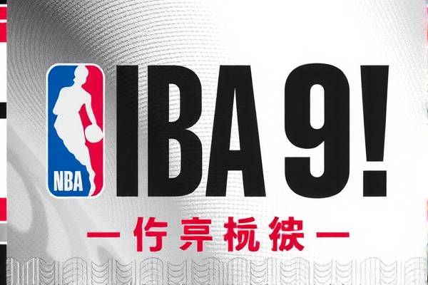 NBA录像回顾,猛龙队的风采