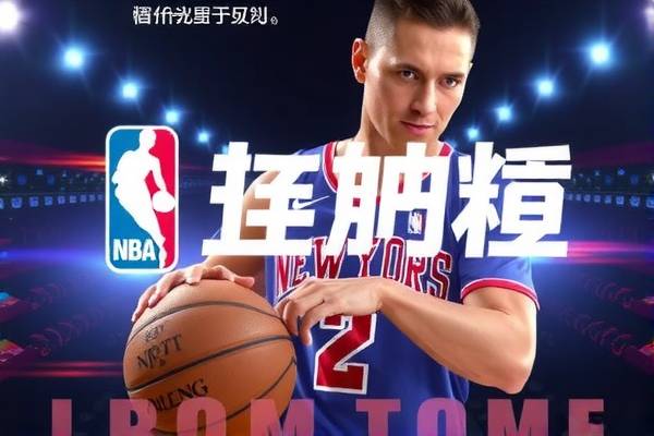 NBA季后赛精彩录像，回顾与前瞻