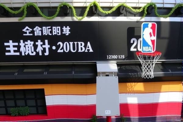 周琦NBA赛场风采，录像解析与篮球之路