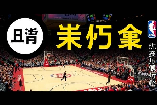 重温历史，探索05年NBA录像的魅力